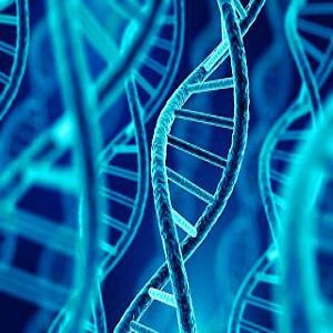 DNA و پیش بینی احتمال ابتلا به سرطان